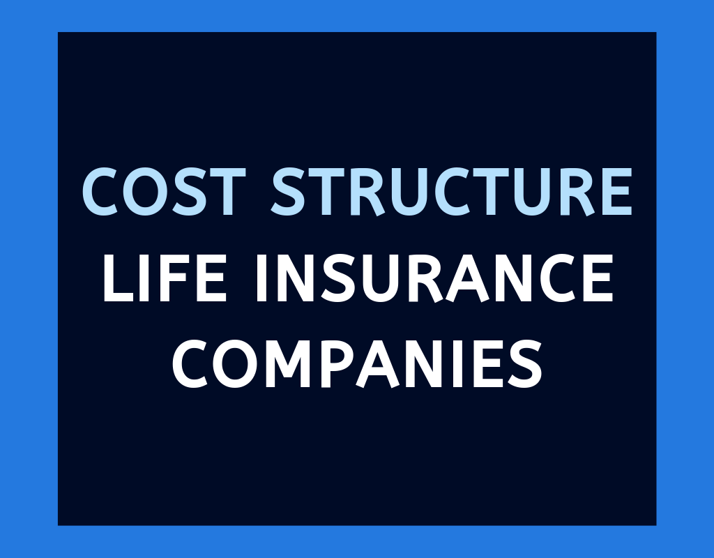 Life insurance companies cost structure details