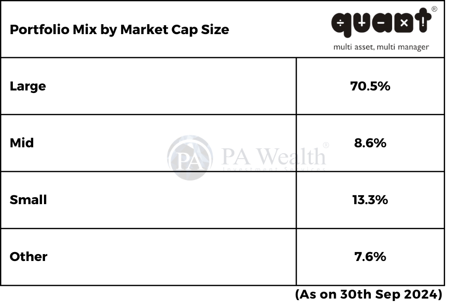 Quant Flexi cap Fund_ Portfolio Mix_PA Wealth