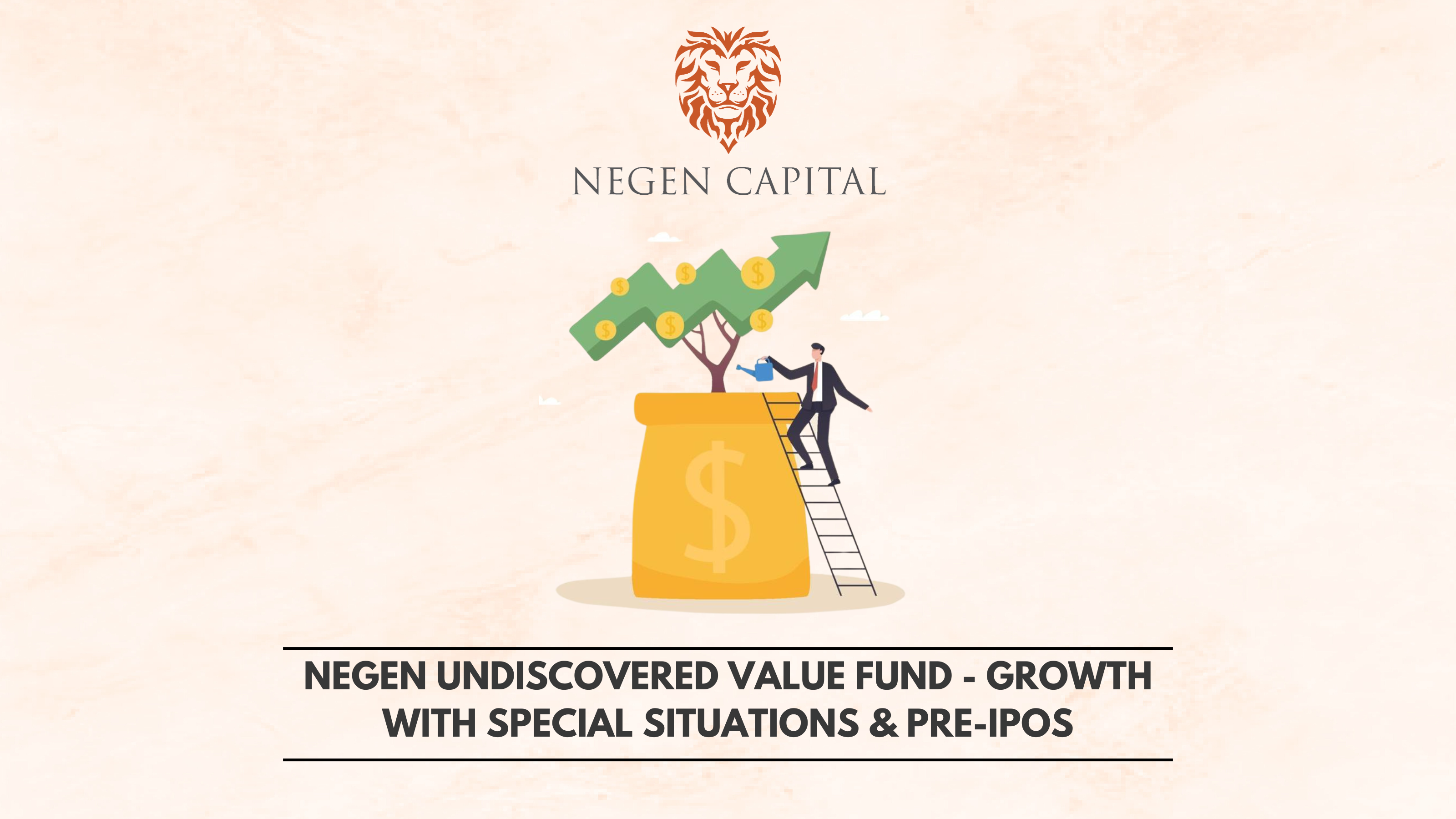 Negen Undiscovery Fund - Analysis